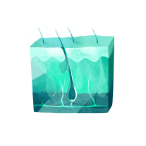 Illustration Dermatologie und Rheumatologie (Kooperations­partner)