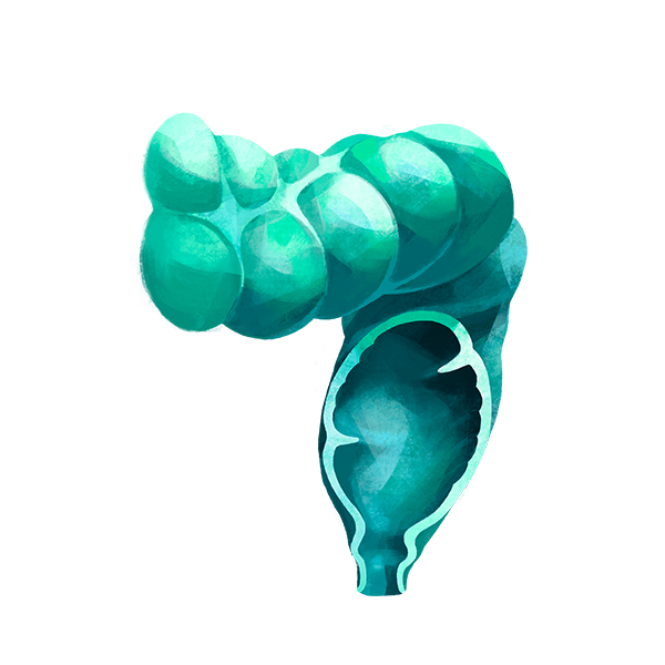 Illustration Allgemein- und Viszeralchirurgie