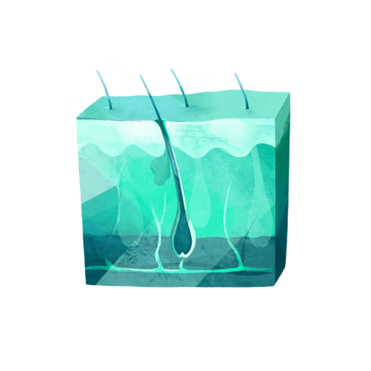 Illustration Dermatologie und Rheumatologie (Kooperations­partner)